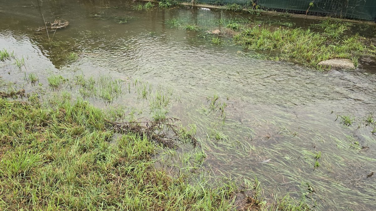 Povodně, ilustrační fotografie. 