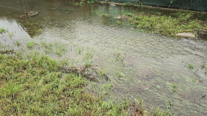 Povodně, ilustrační fotografie. 