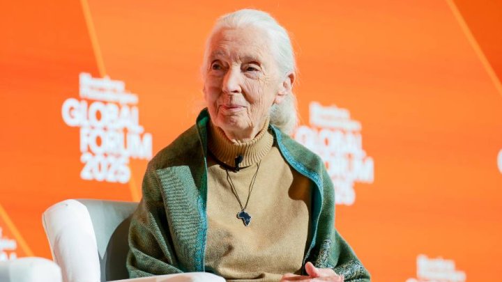 Jane Goodallová